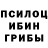 Галлюциногенные грибы Psilocybe ruper energi78