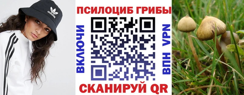 Купить где  Порхов  Галлюциногенные грибы ЛСД 